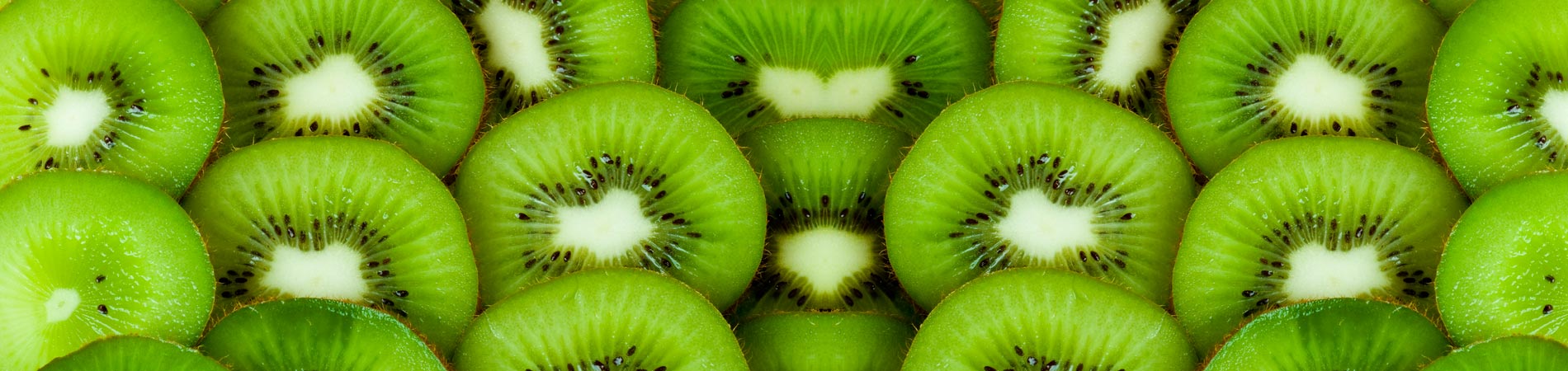 arofruit-asesoramiento